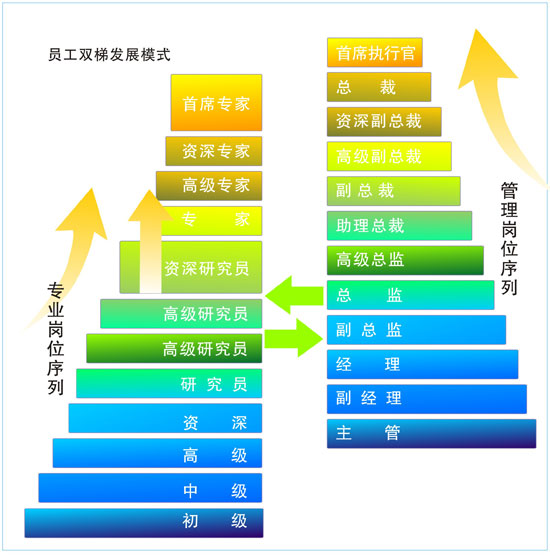 双梯职级发展体系